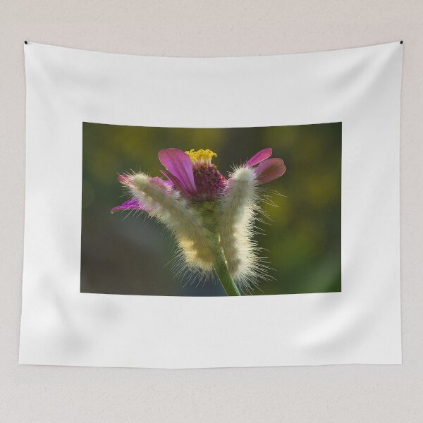 Item preview, Double Dipping designed and sold by Brenda Burnett.