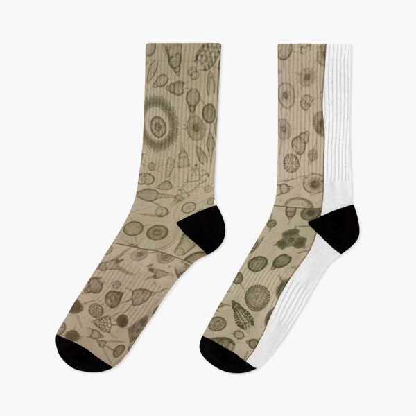 Item preview, Diatom Design designed and sold by BlueSpecsStudio.