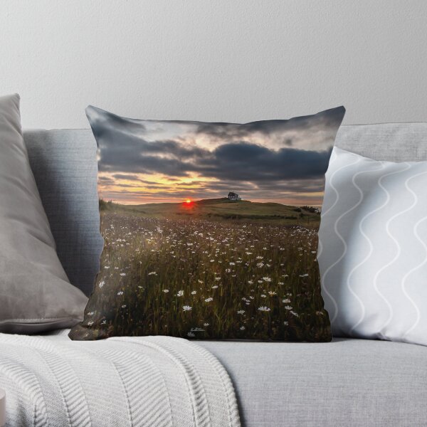 photograph fields of daisies at sunset in the Magdalen Islands Throw Pillow