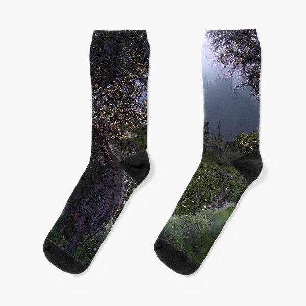 Socks