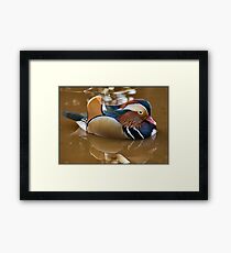 Colours Framed Print
