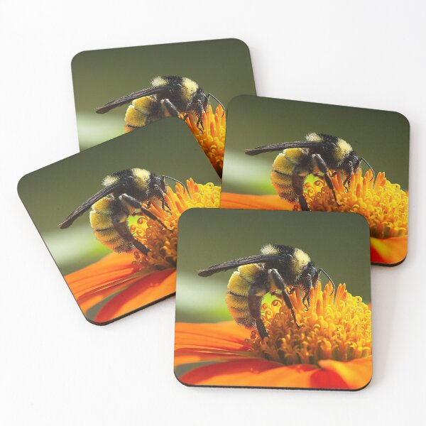 Item preview, In Your Face....Pollen designed and sold by Brenda Burnett.