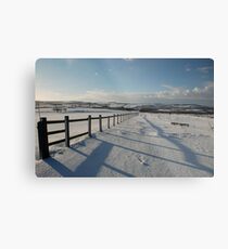 Viewpoint Metal Print