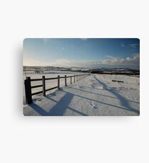 Viewpoint Canvas Print