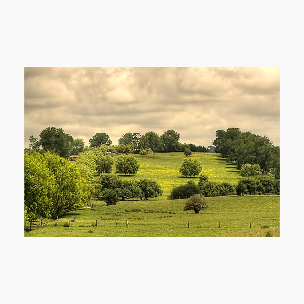 Item preview, New Zealand Farmland designed and sold by Bruce Jones.