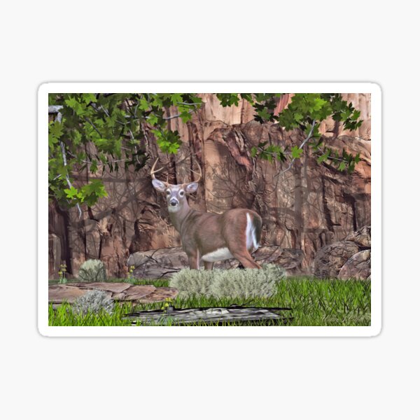 Red Cliff Whitetail Deer Sticker