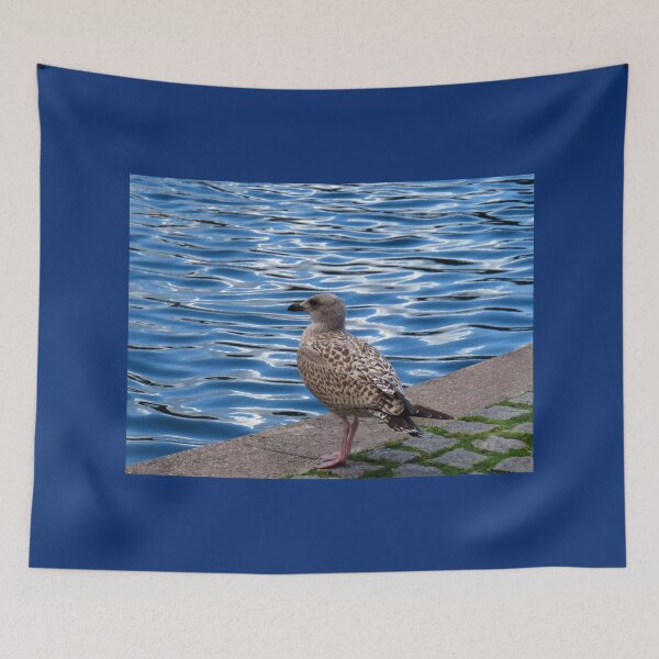 Item preview, Don't forget your green cross code - Juvenile Gull designed and sold by BlueMoonRose.