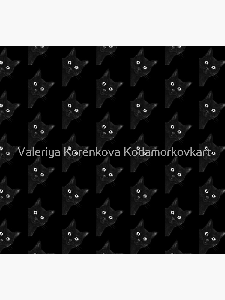 Black cat on black by kodamorkovkart