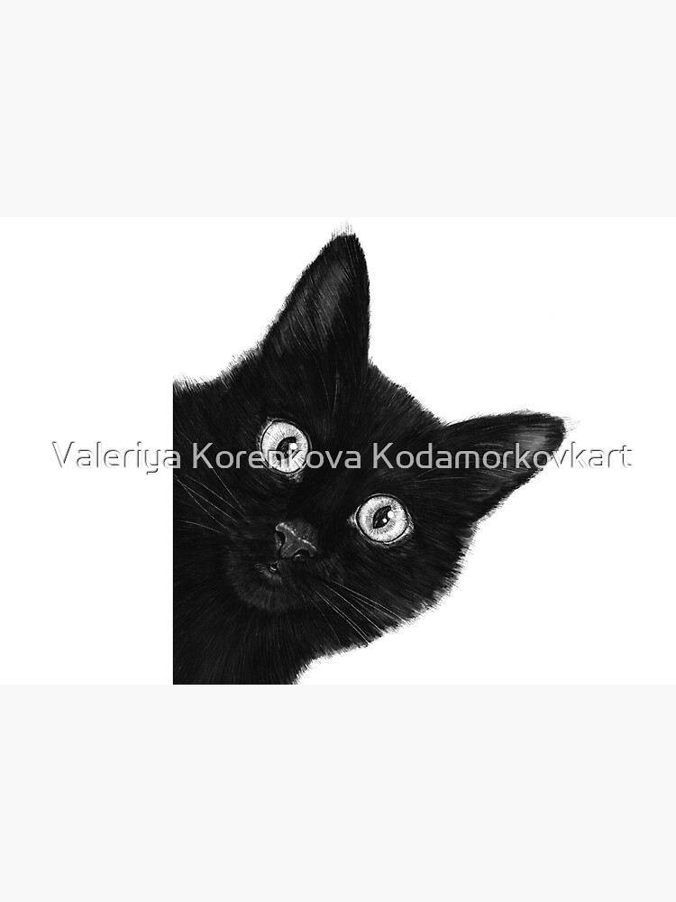 Black cat on black by kodamorkovkart