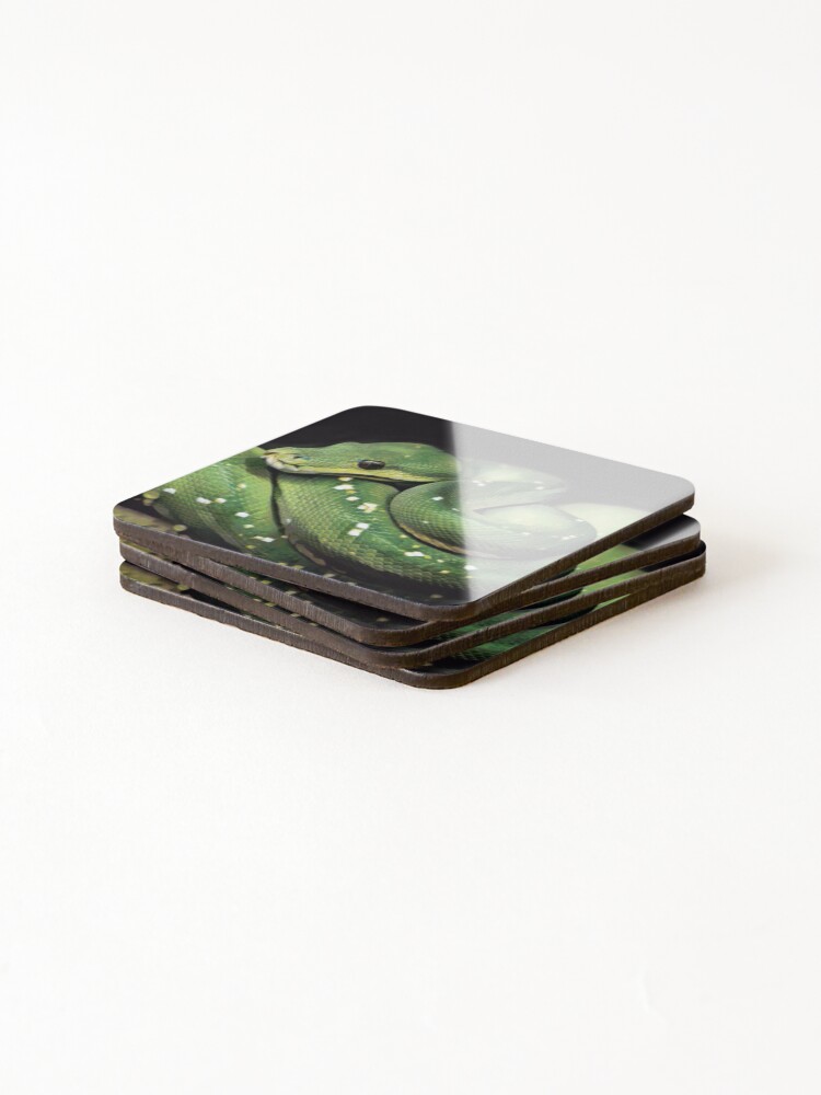 Thumbnail 4 of 5, Coasters (Set of 4), Green Tree Python designed and sold by Heathermarie321.