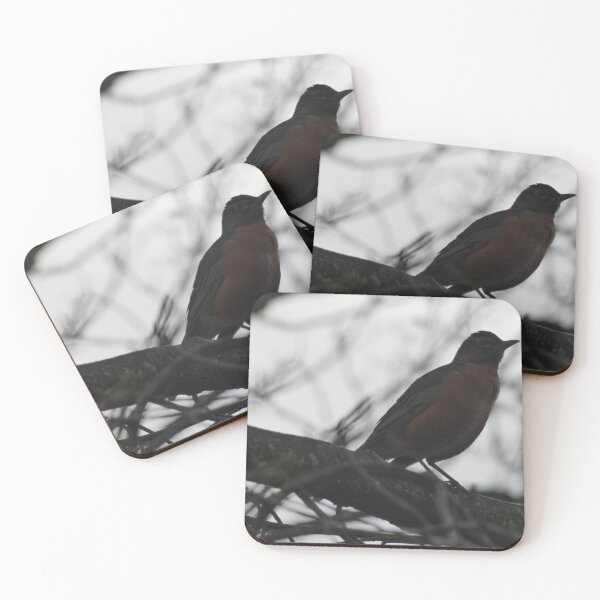 Item preview, Robin in a tulip tree designed and sold by Aurorabeth.