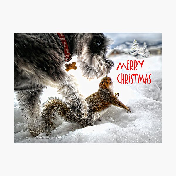 Merry Christmas Photographic Print