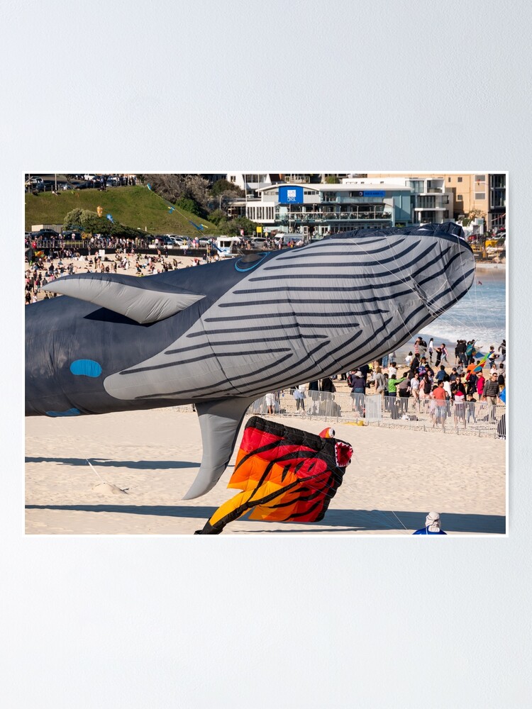 Festival of the Winds, Bondi Beach, Sydney