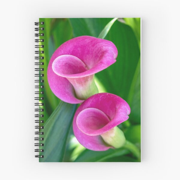 Item preview, Two Calla Lillies designed and sold by DPalmer.