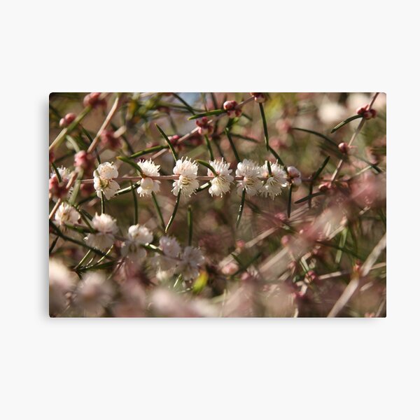 Item preview, The Not So Faraway Garden Series 2 - 89 designed and sold by beeden.