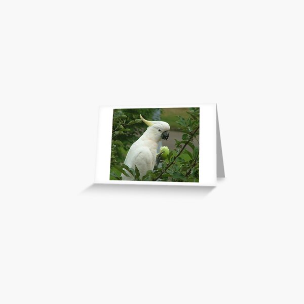 White Cockatoo in an Apple Tree Greeting Card
