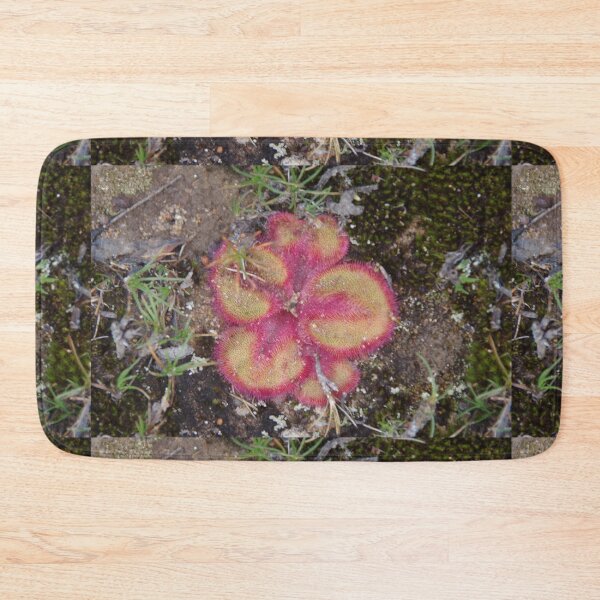 Item preview, Pink Serpentine Drosera (sundew) designed and sold by lezvee.