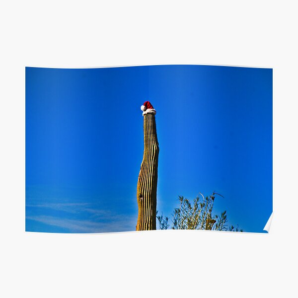 Christmas Cactus Poster