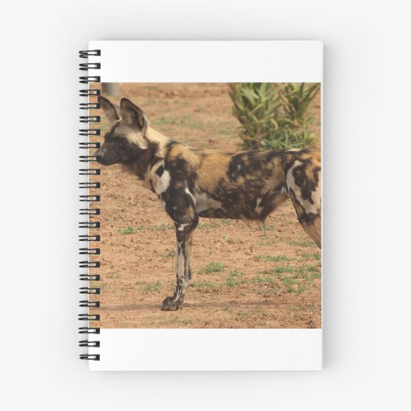 Item preview, African Painted Dog designed and sold by inthewild.