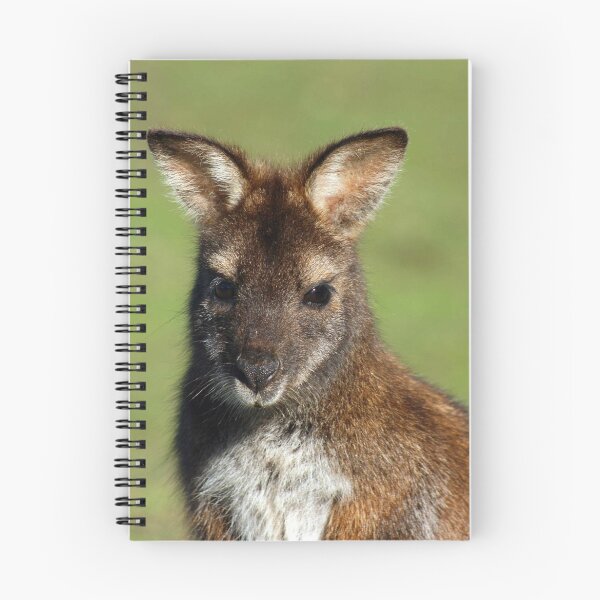 Item preview, Juvenile Bennetts Wallaby designed and sold by inthewild.