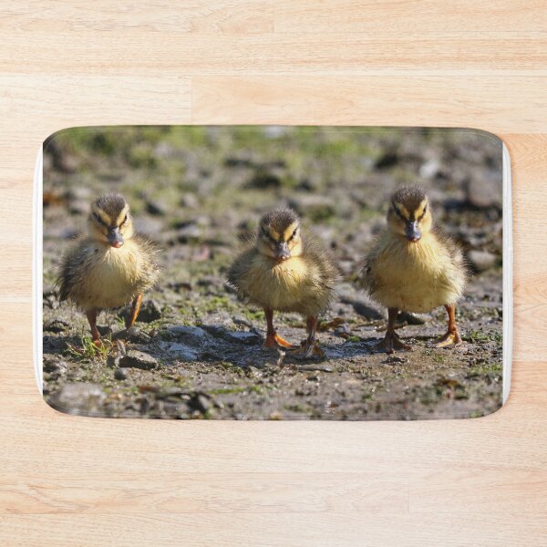 Item preview, Duckling trio designed and sold by GreyFeatherPhot.