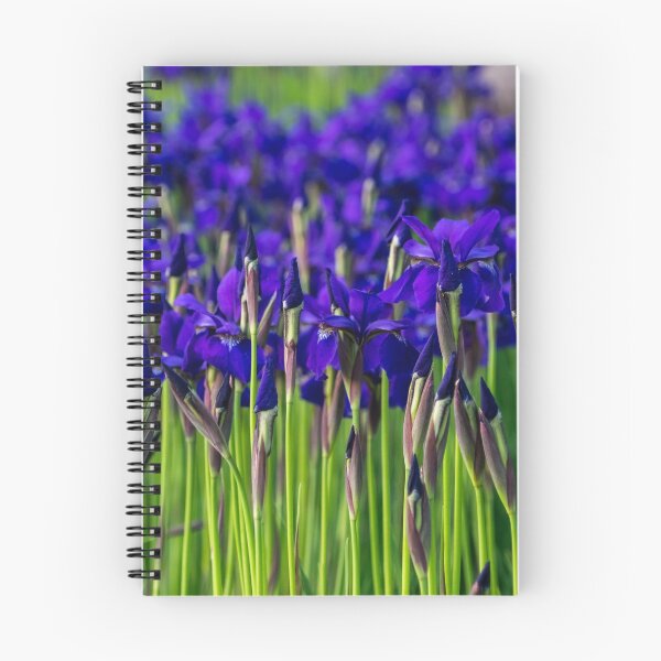 Item preview, A Garden for Vincent Van Gogh - Indigo Purple Irises Springtime Abundance - Take One designed and sold by Georgia Mizuleva.