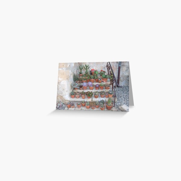 Cactus Garden, Mission, Santa Barbara Greeting Card