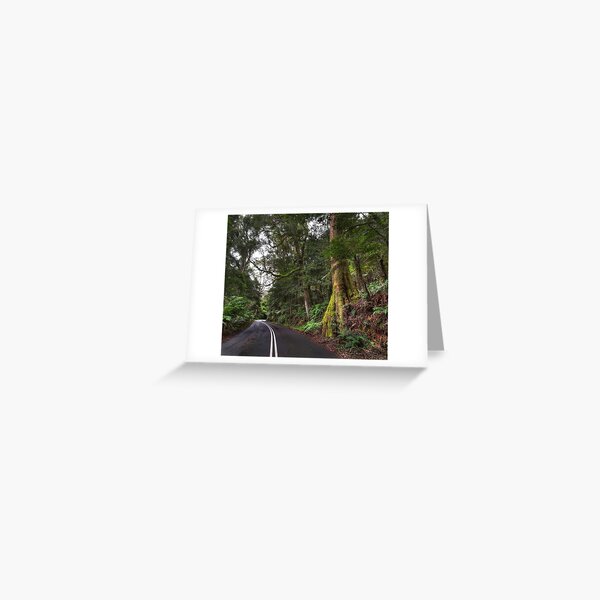 The Road To Mount Irvine Greeting Card
