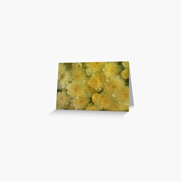 Sunshine and Memories Greeting Card