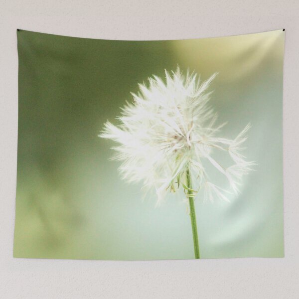 Item preview, dandilion Weranga QLD Australia designed and sold by Amanda Marchant Fine Art Photography.