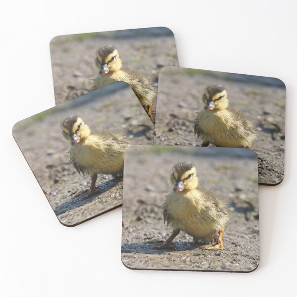 Item preview, Mallard duckling designed and sold by GreyFeatherPhot.