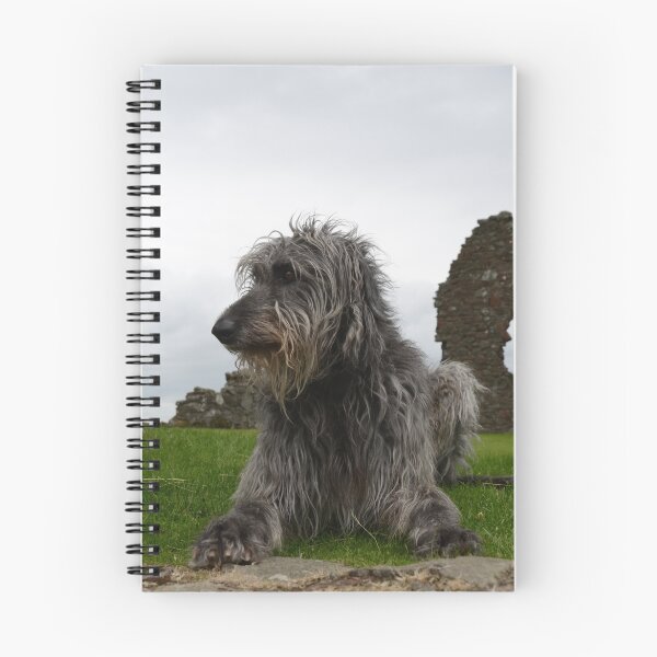 Item preview, Jamie and Millie at Balvaird Castle designed and sold by SCOTTISH-PICS.