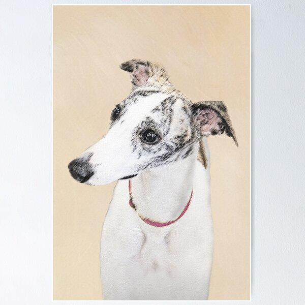 Item preview, Whippet designed and sold by alpendesigns.