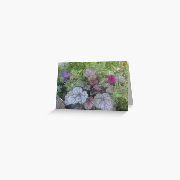 Stillness and Color Greeting Card
