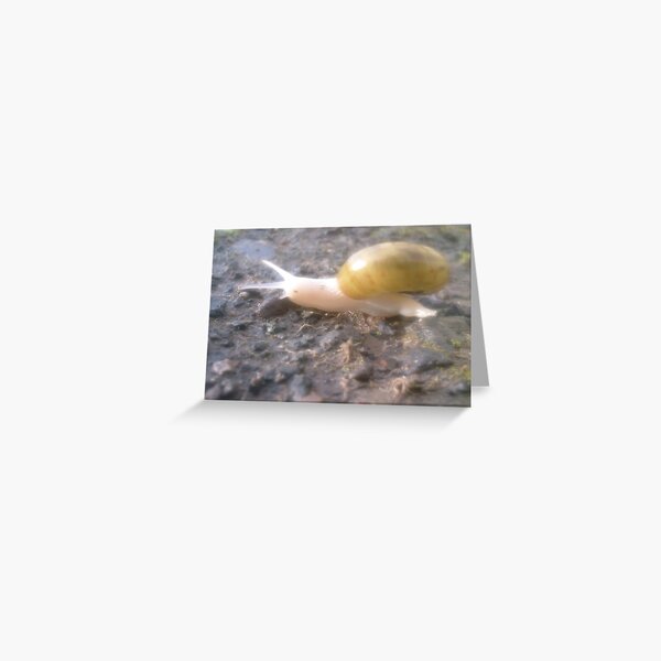 An Albino Snail Crossed My Path Today Greeting Card