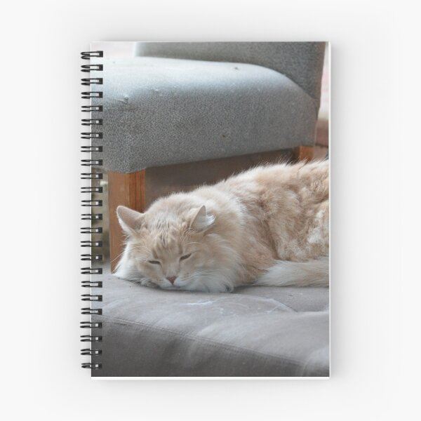 Item preview, El gato dormido designed and sold by ByJanie.