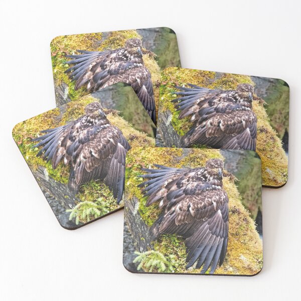Item preview, Golden Eagle 5. designed and sold by Alex Preiss.