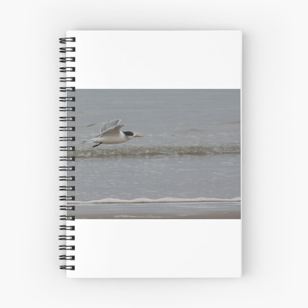 Item preview, Crested Tern designed and sold by inthewild.