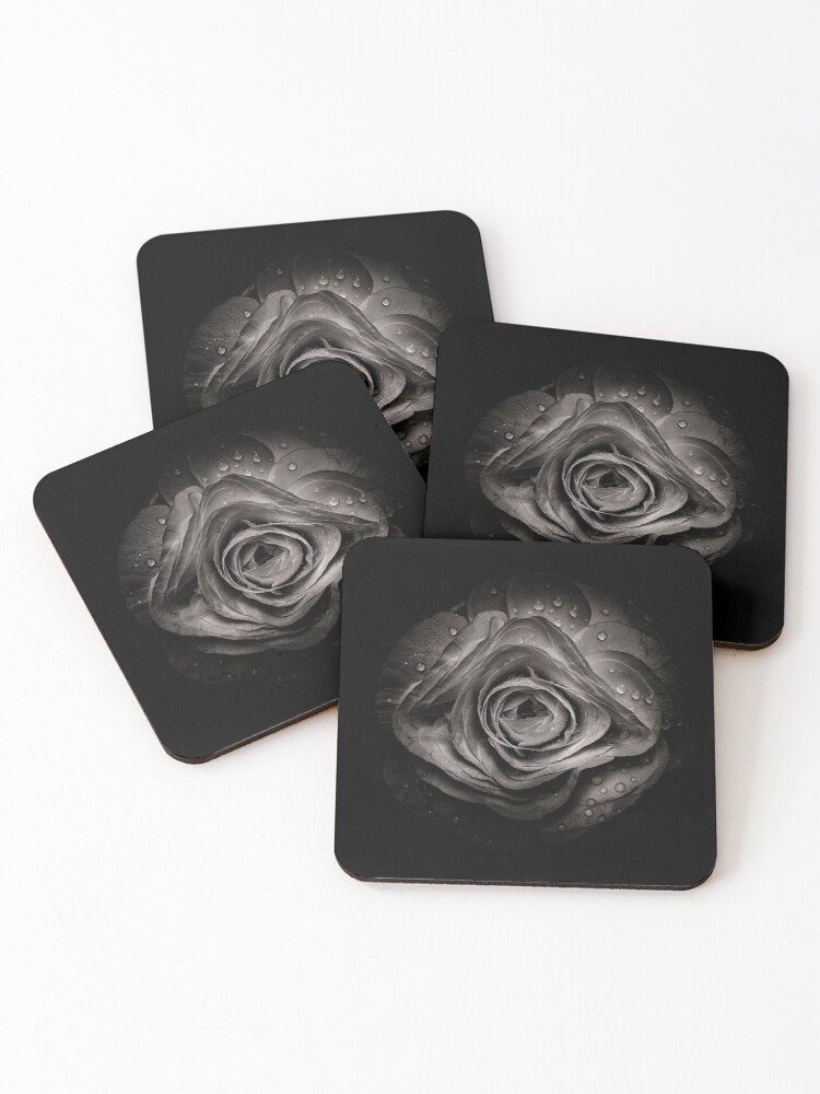 Backyard Flowers In Black And White 74 Coasters Set Of 4 By