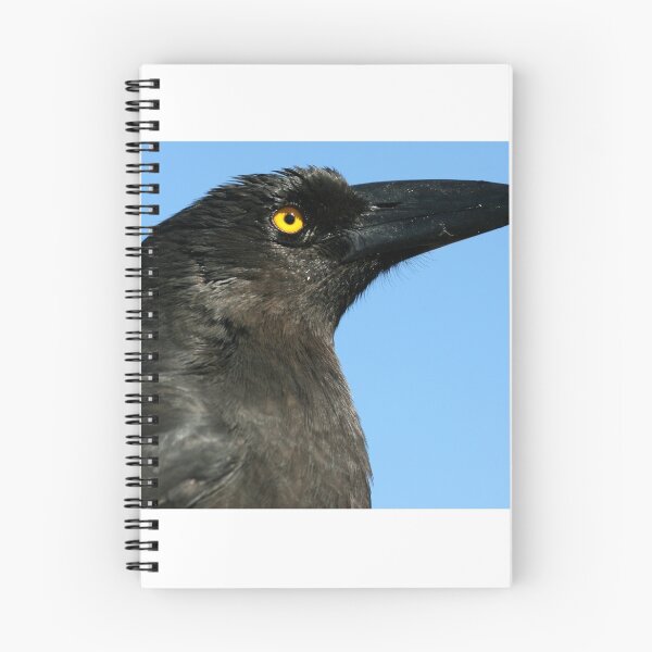 Item preview, Currawong designed and sold by inthewild.