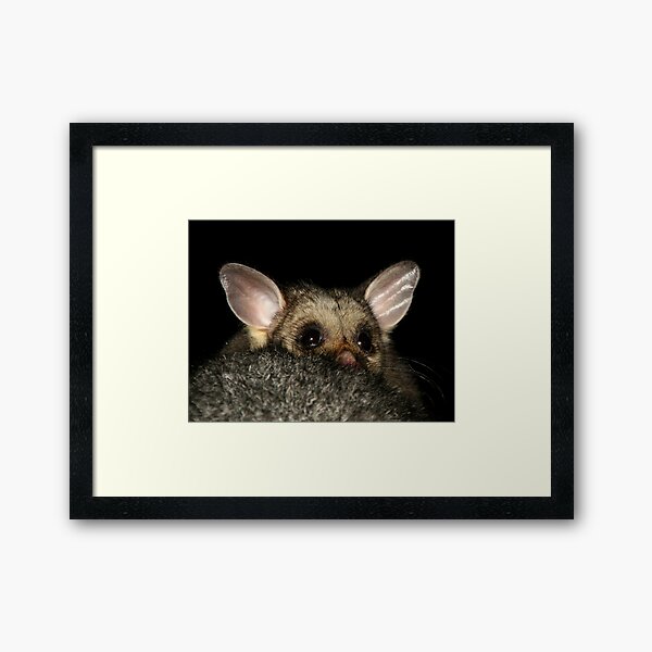 Little Treasure Framed Art Print