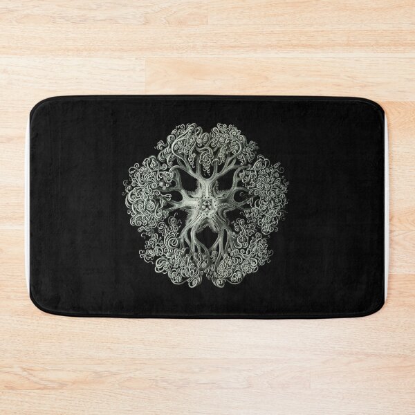 Item preview, Ernst Haeckel - Ophiodea Gorgonocephalidae designed and sold by ShaMiLaB.