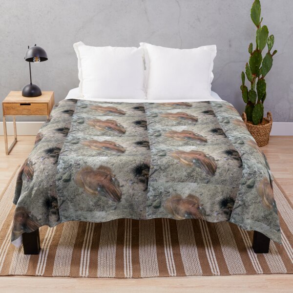 Item preview, Cuttlefish in the Shallows of Thailand designed and sold by Mike Ashley.