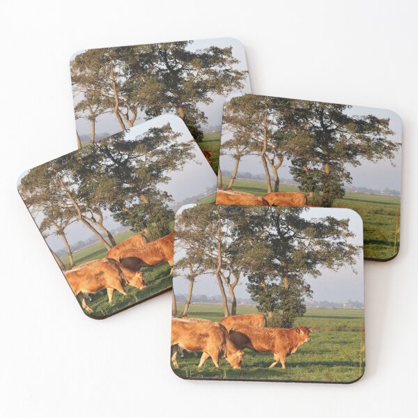 Item preview, Vaca hermosa somos designed and sold by cuprum.