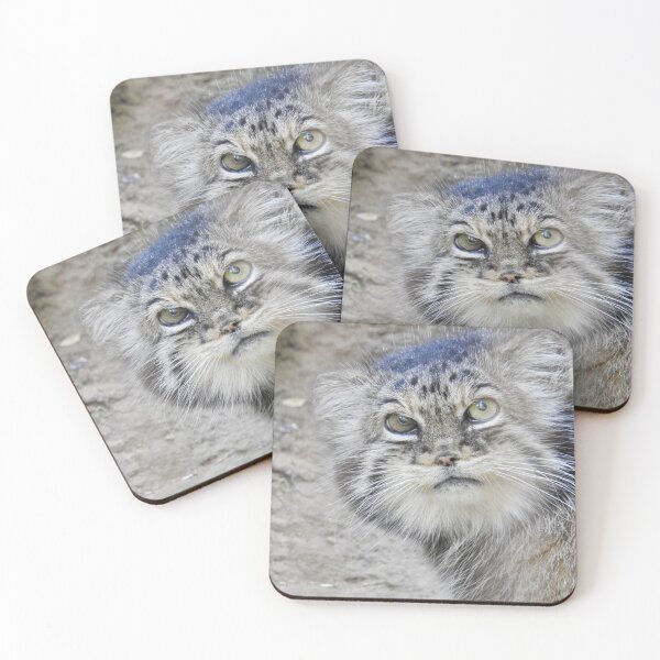 Item preview, Pallas's Cat designed and sold by Martina Nicolls.