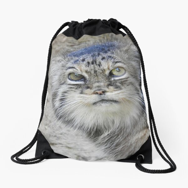 Pallas's Cat Drawstring Bag