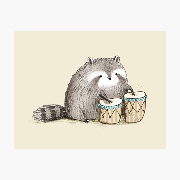 Raccoon on Bongos Photographic Print