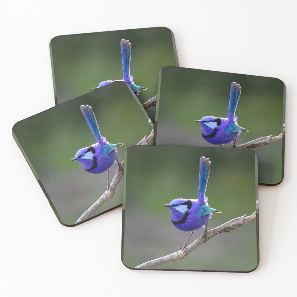 Item preview, Bruce the Blue Wren in afternoon light designed and sold by gwenthewren.