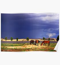 While the sun shines Poster