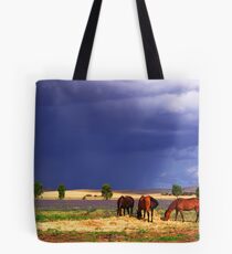 While the sun shines Tote Bag